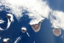 Nome del file=NESPOLI_008_CANARIE.jpg
Dimensione del file=143KiB
Dimensioni=1200x799
Aggiunta il=14 Ago 2017 NESPOLI_008_CANARIE.jpg