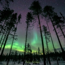 10_02_2017_finlandia